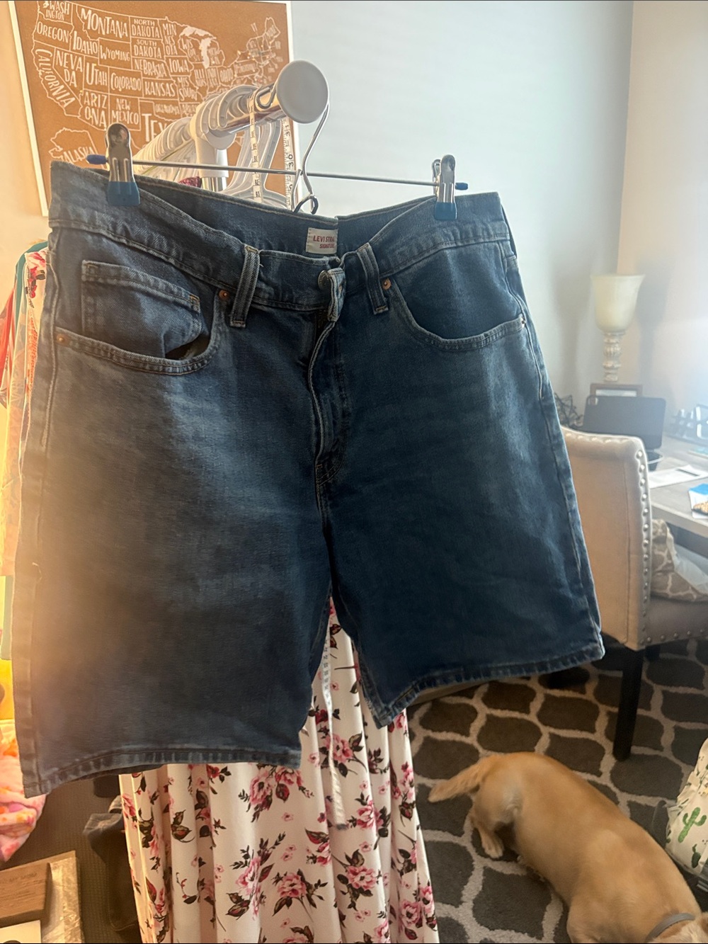 Levi's Men's Dark Indigo Denim Shorts